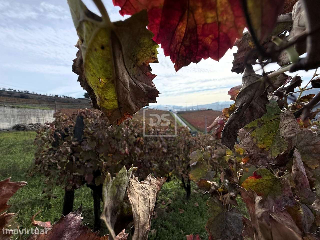 Quinta T4 Venda em Fontelas,Peso da Régua-20