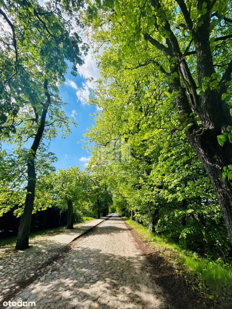 Działki budowlane pod lasem Natura 2000, Rzędziny