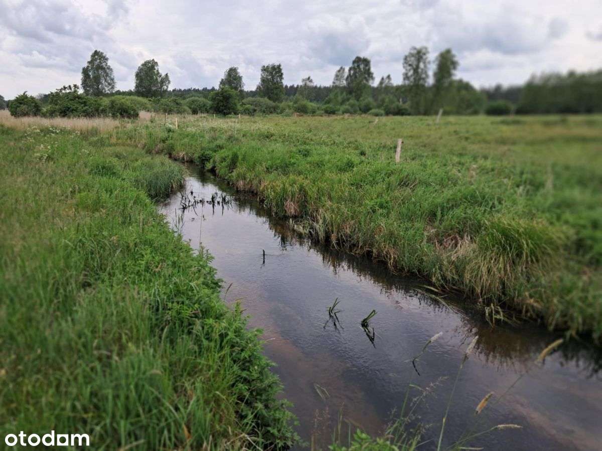 Działka pod rekreację i lokatę-0