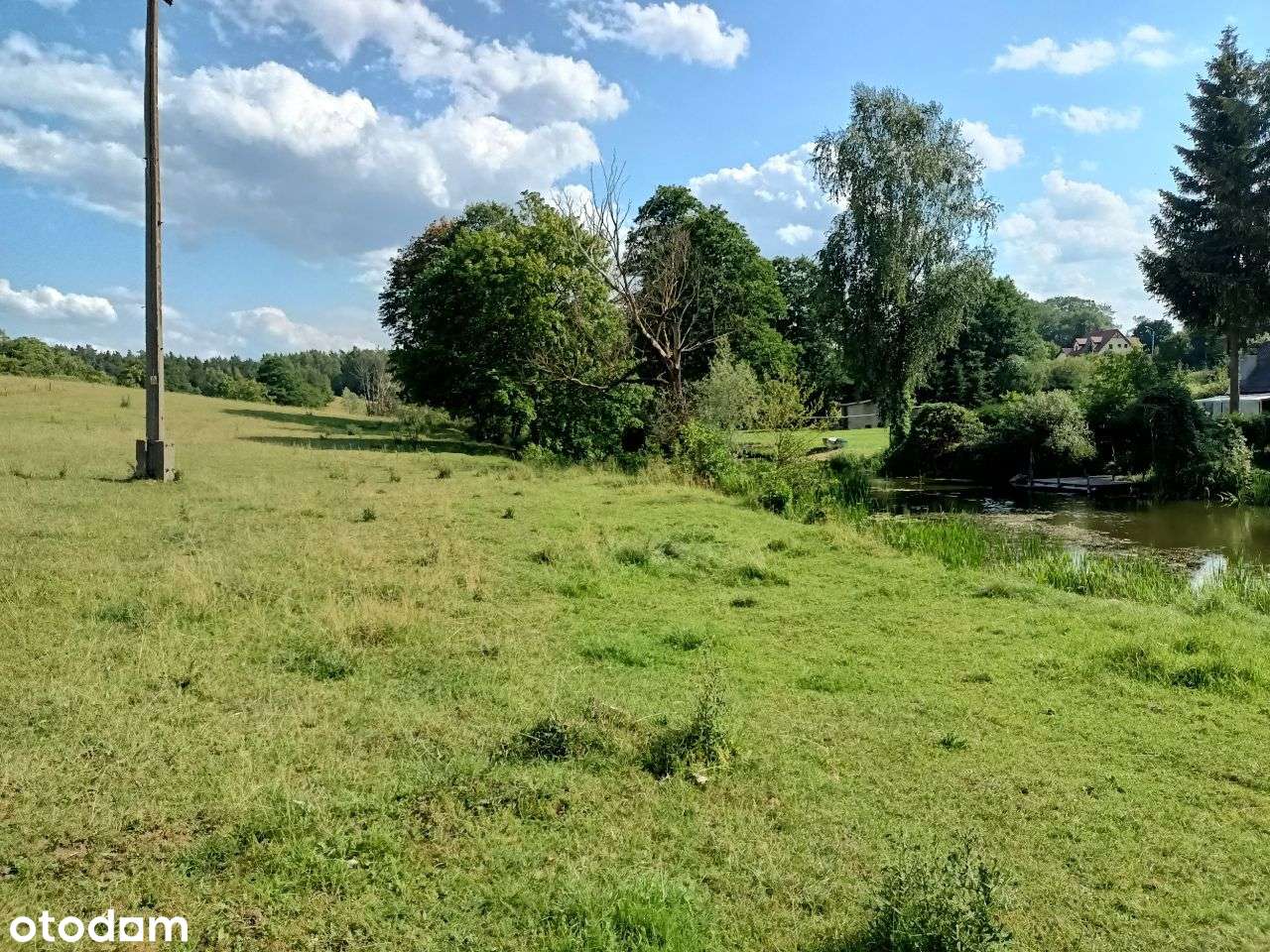 Działka z dostępem do linii jeziora-5