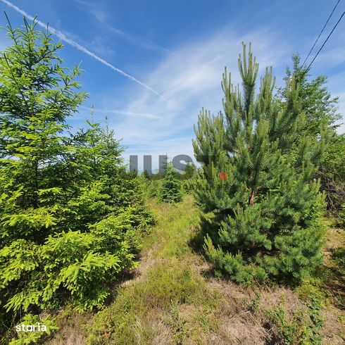 Două loturi a cate 6 terenuri în Călățele-Pădure, | 3526 mp - 1728 mp-4