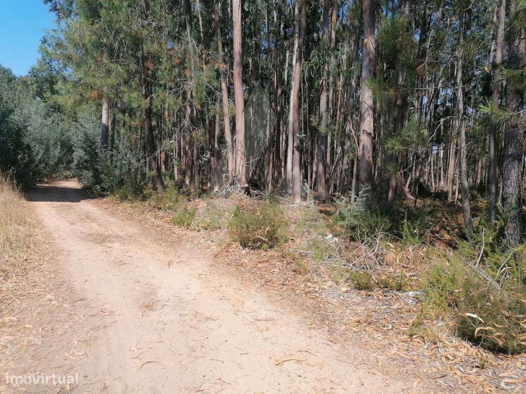 Terreno destinado a construção em Águeda - Grande imagem: 5/10