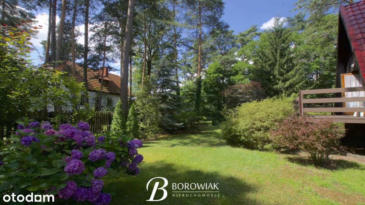 Urokliwy domek w lesie - Szałe - Pełny obrazek: 5/20