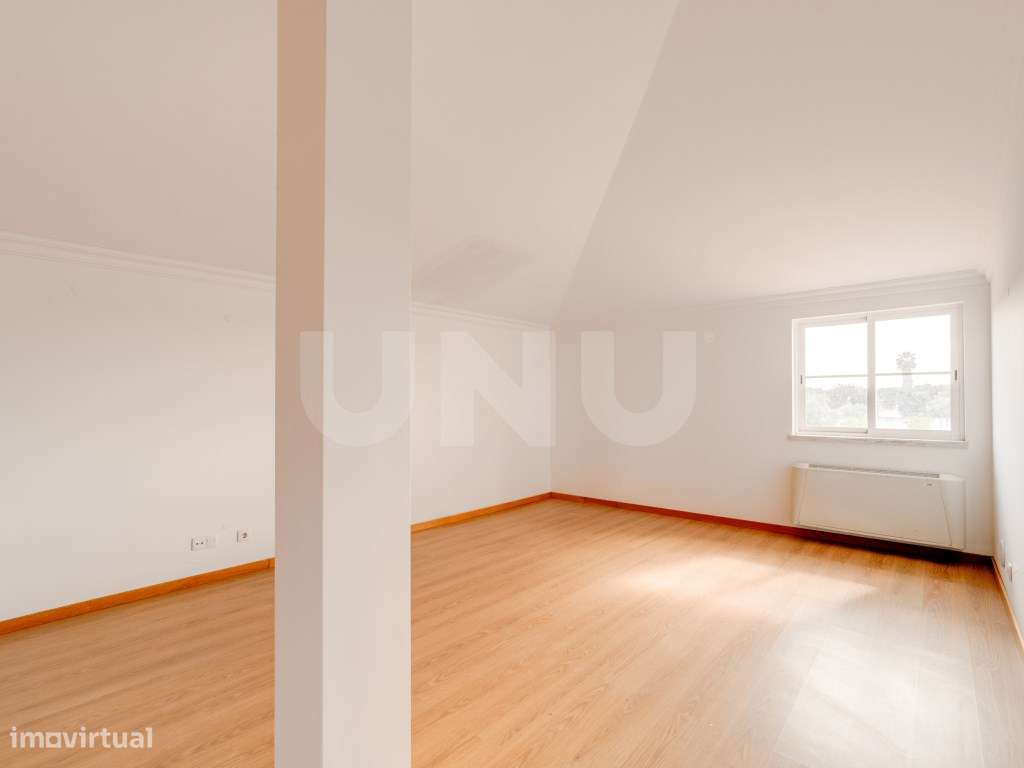 Quinta com 4,8 hectares e casa T9 em Vila Nova da Baronia-55