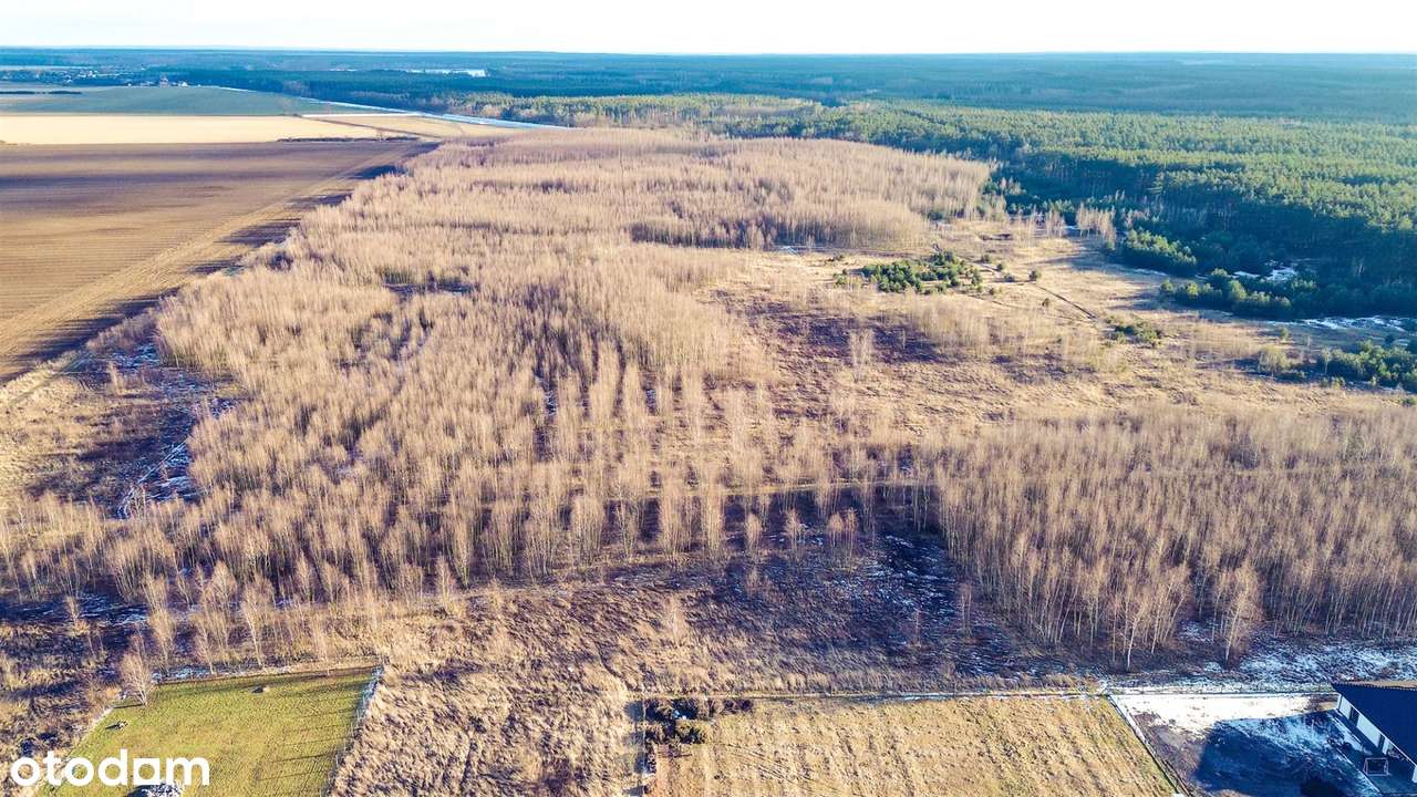 PERFEKCYJNIE położone działki PRZY lesie i stawie | MEDIA | VIDEO-8