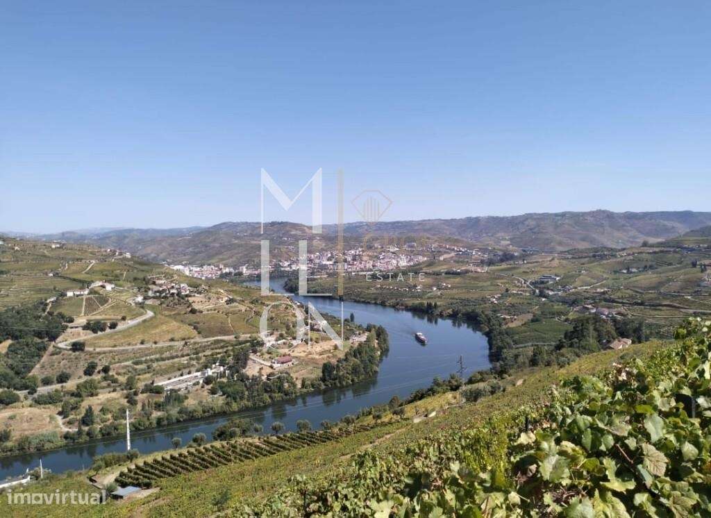 Quinta com 3 hectares e vistas desafogadas para o rio Douro-15