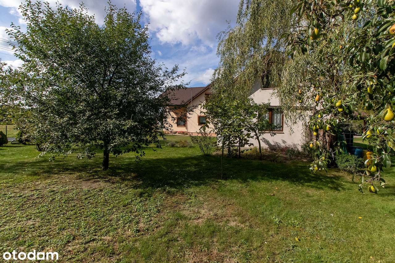 Dom na obrzeżach lasu. - Pełny obrazek: 5/20