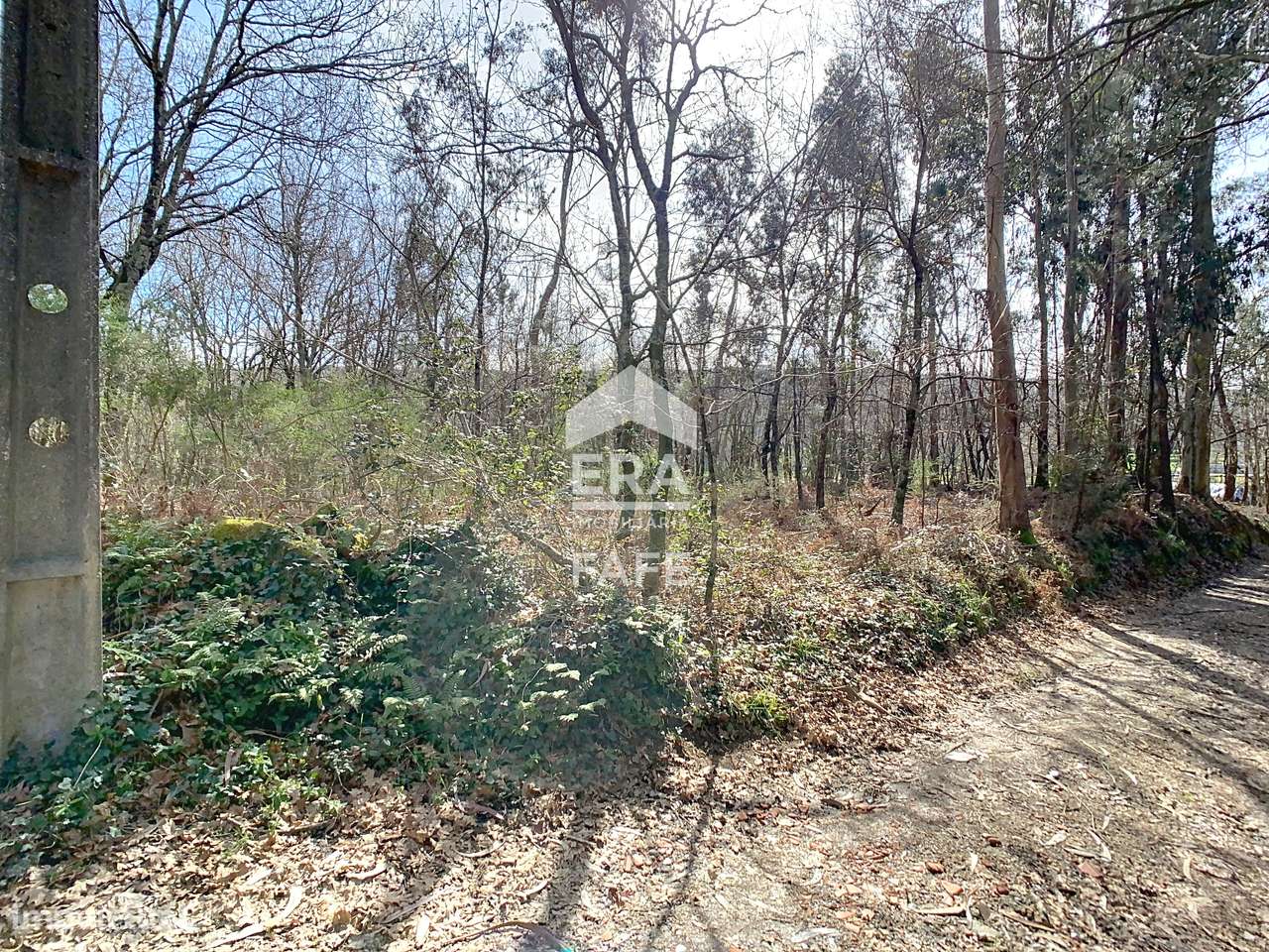 Terreno para construção em São Gens - Grande imagem: 4/11