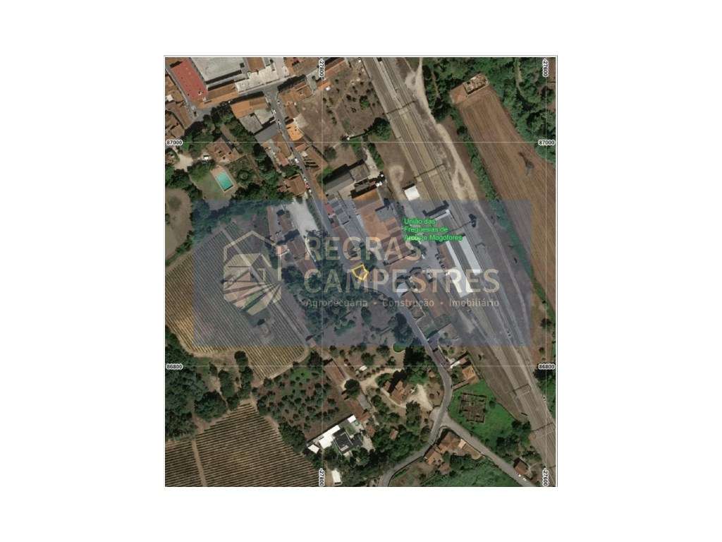 Moradia T7 Mogofores - Anadia-20