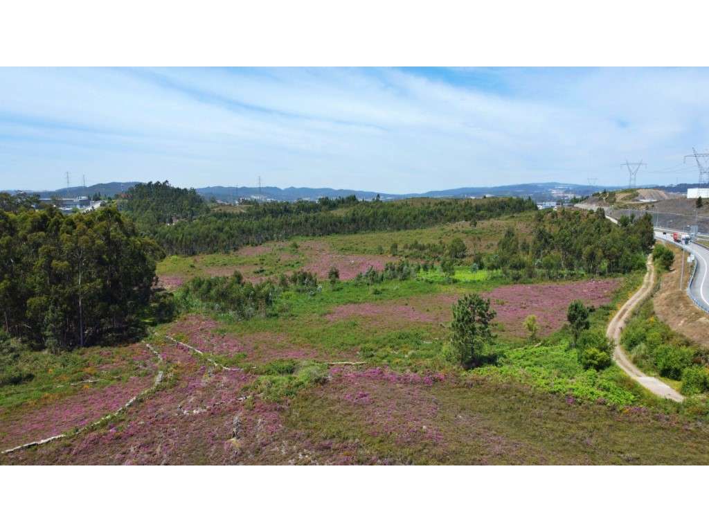 Terreno industrial junto à A41 - Grande imagem: 2/10