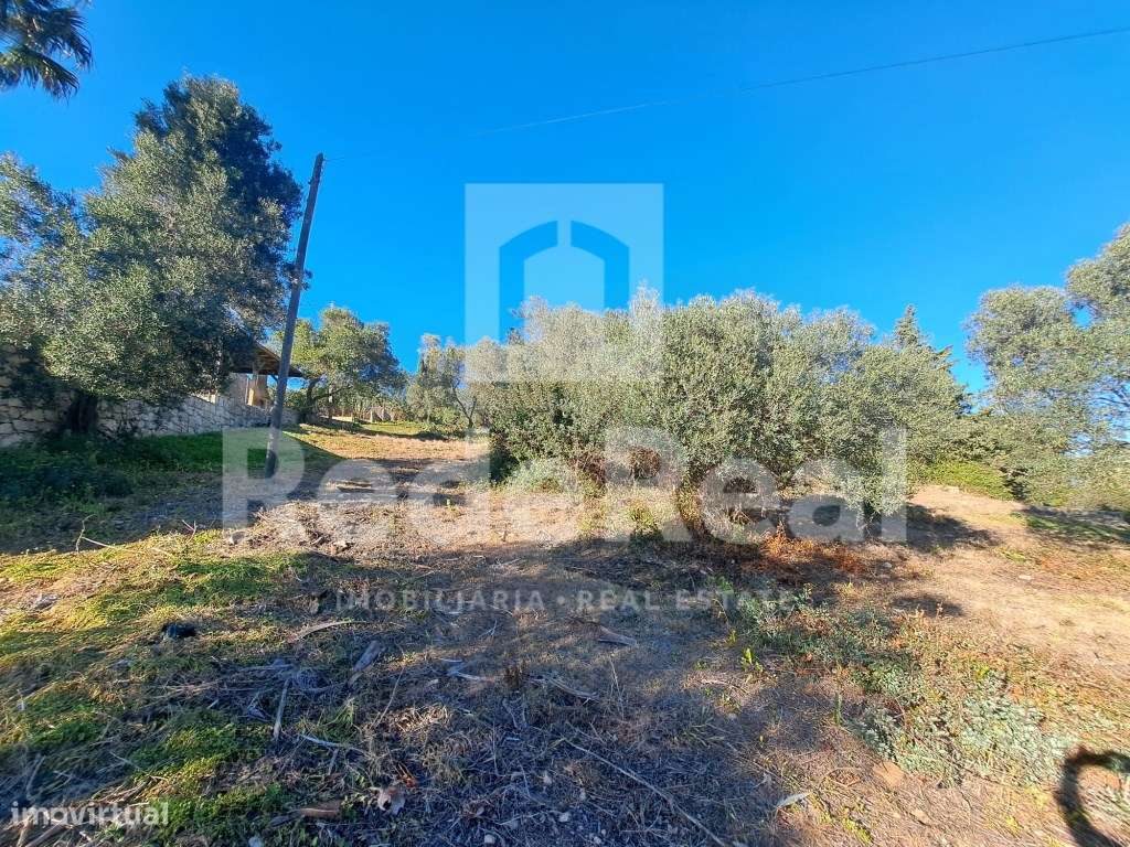 Terreno rústico em Estoi - Grande imagem: 5/22