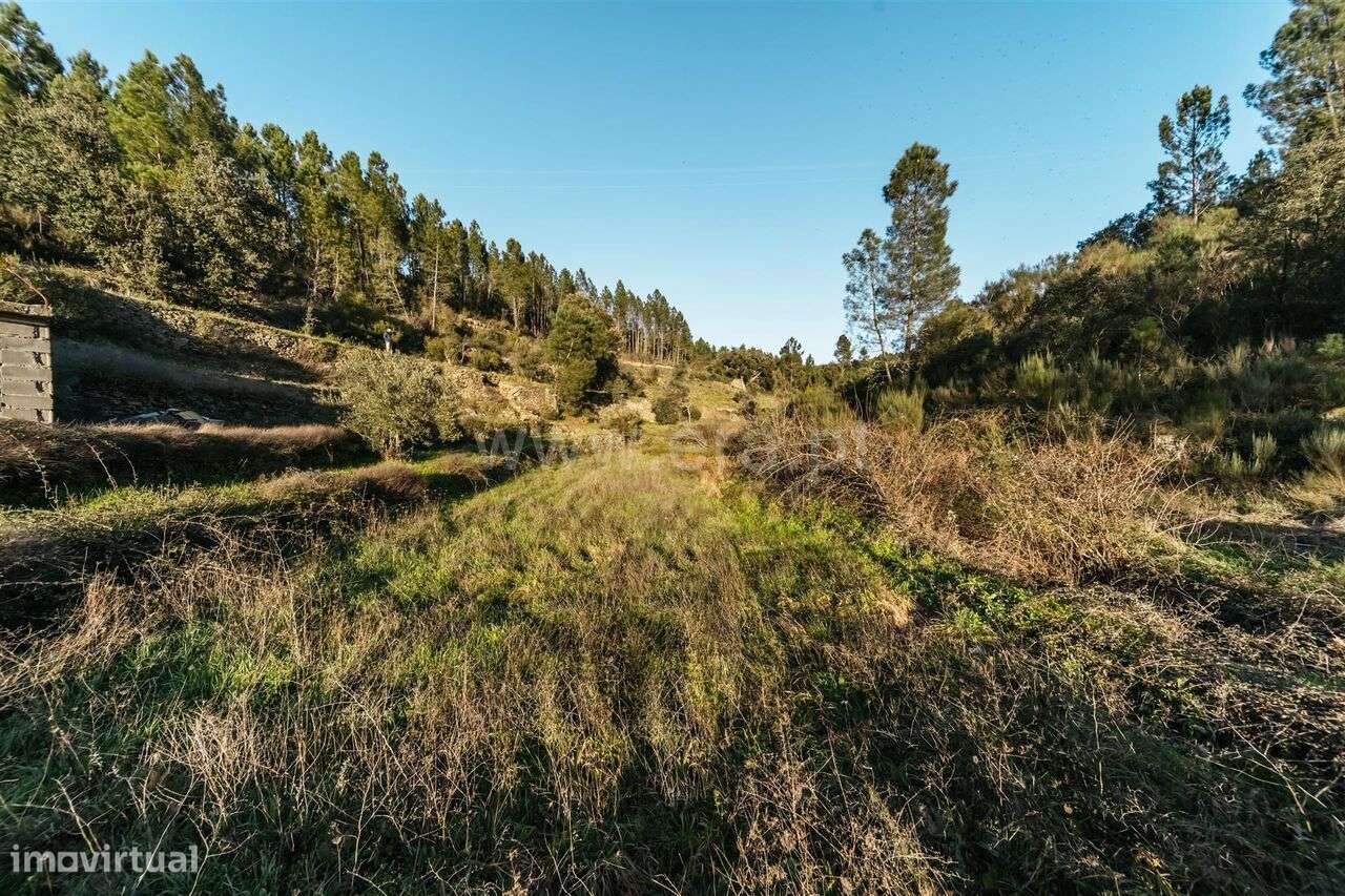 Terreno Rústico / Covilhã, Casegas - Grande imagem: 2/20