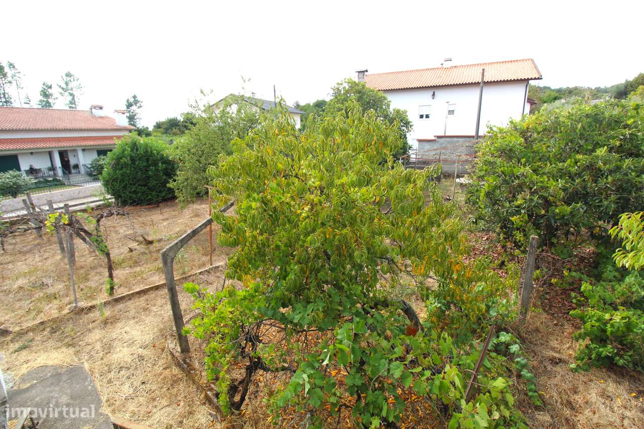 Quinta com 8.000 m² a apenas 10 km do centro de Viseu-19