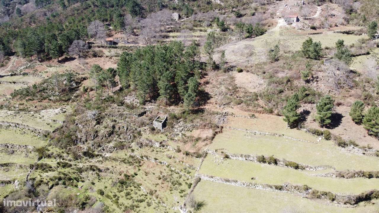Quinta T0 Venda em Loriga,Seia-10