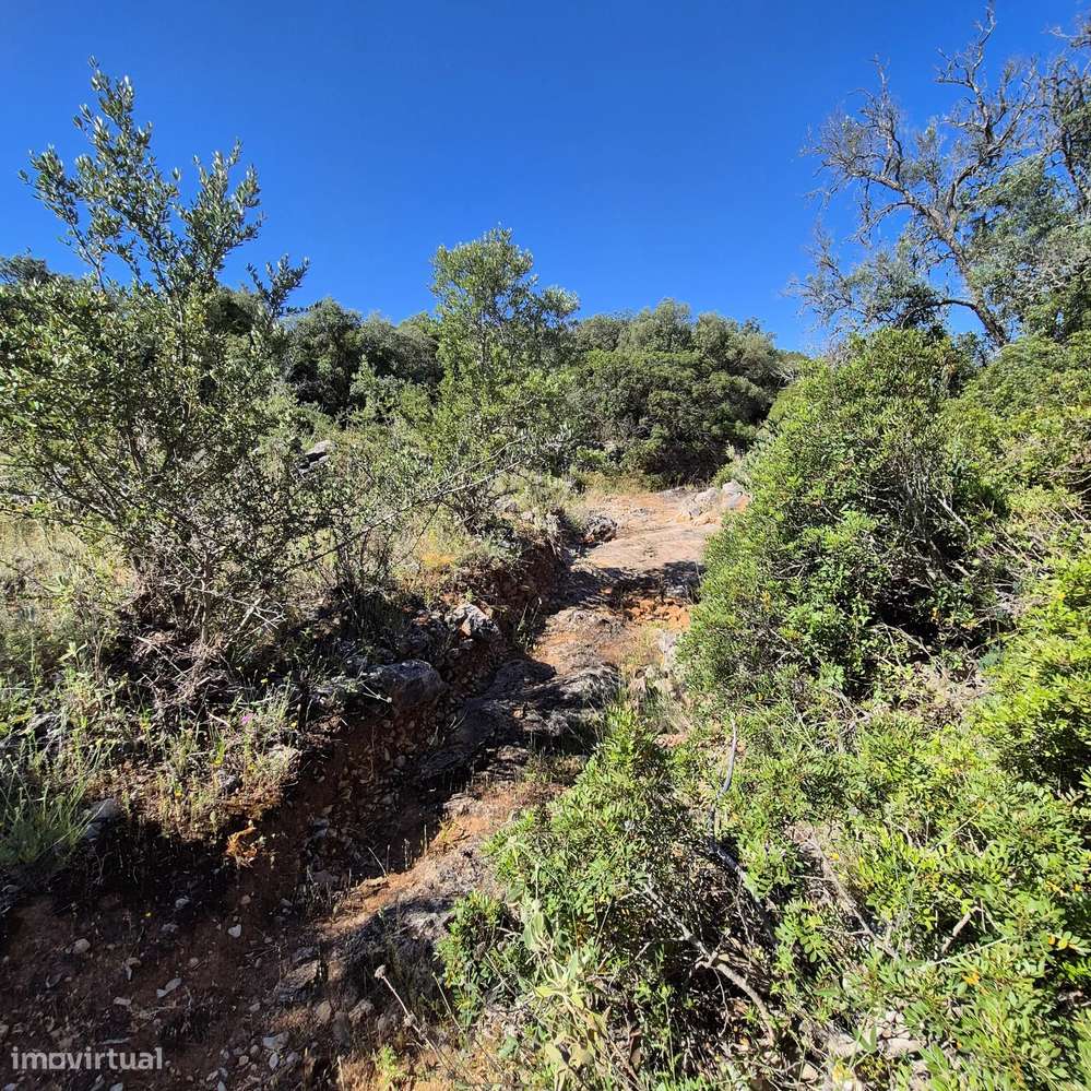 Terreno urbano com ruína - Grande imagem: 5/6