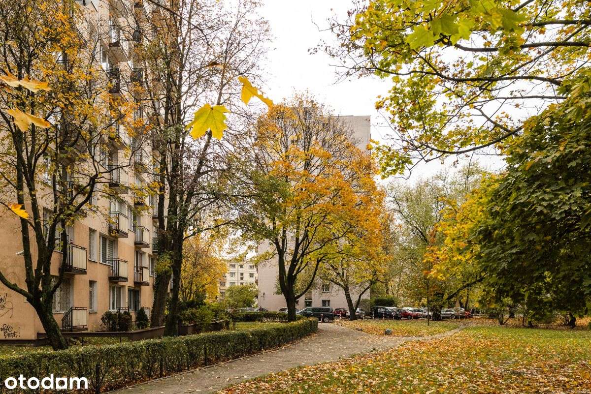 Dwa pokoje w świetnej lokalizacji-13