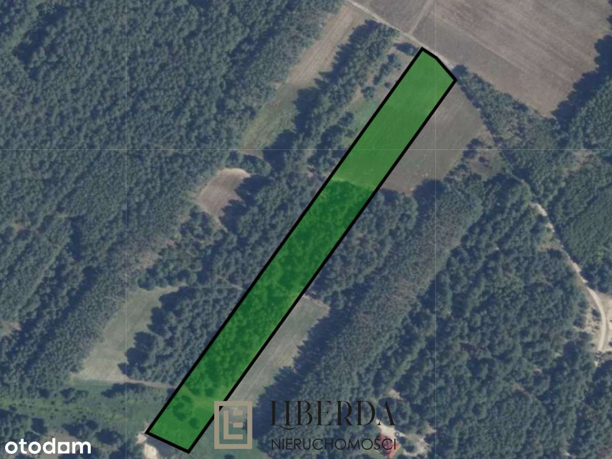 ❤️ Działka (rolna) - Kąty-Miąski ‼️ - Pełny obrazek: 4/4