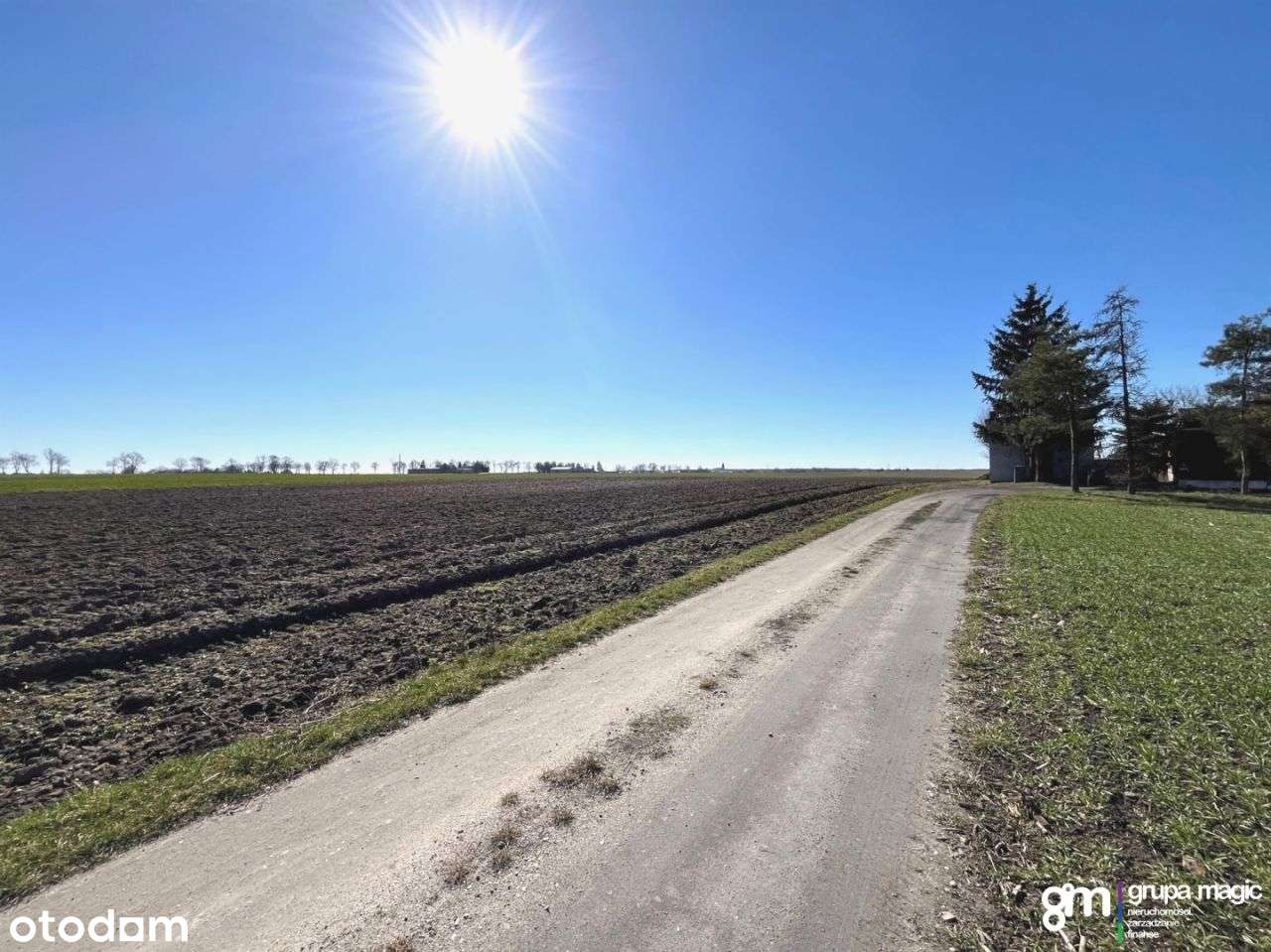 Działka, 3 003 m², Papowo Toruńskie - Pełny obrazek: 5/8