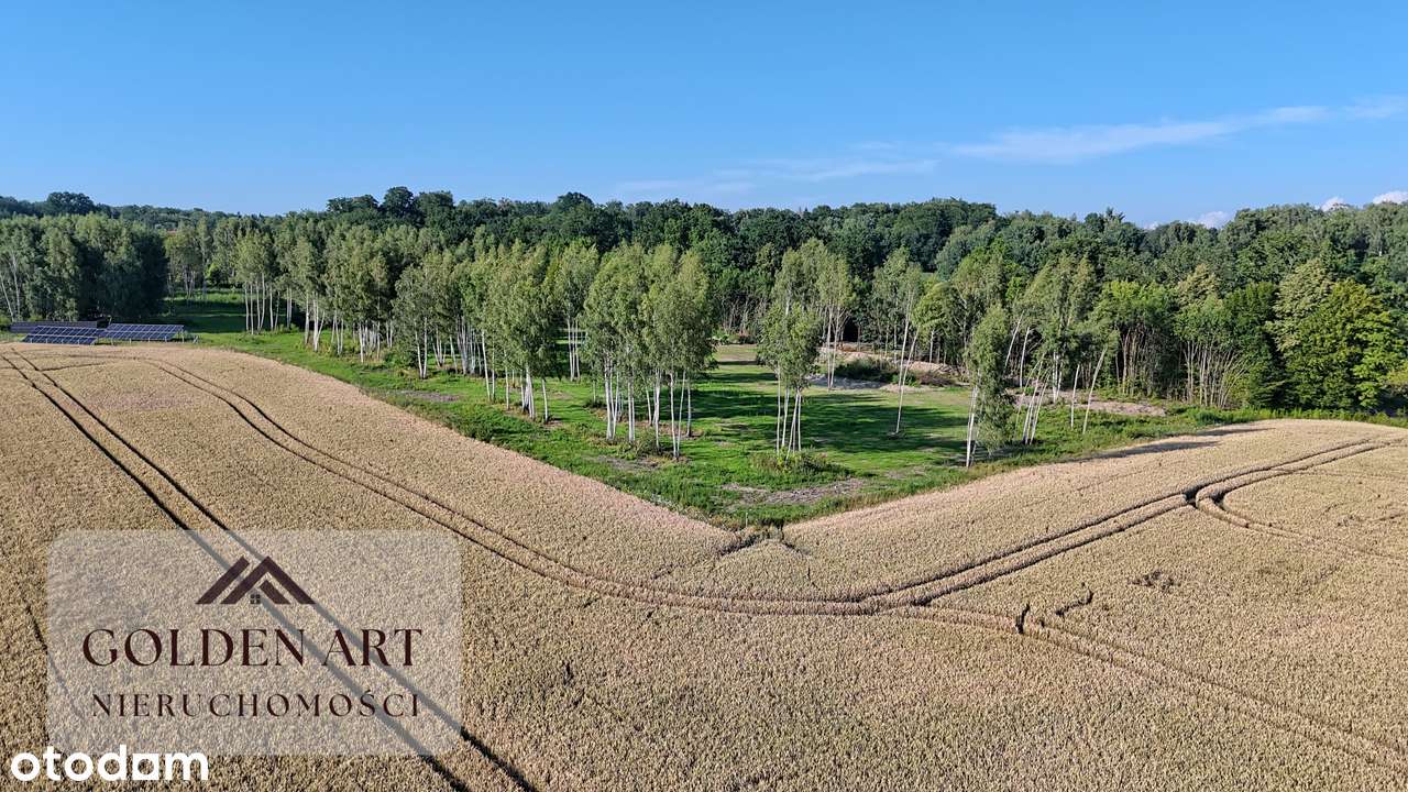 Działka na sprzedaż: Gmina Pasłęk | 5306 m² | WZ | Oczko wodne-10