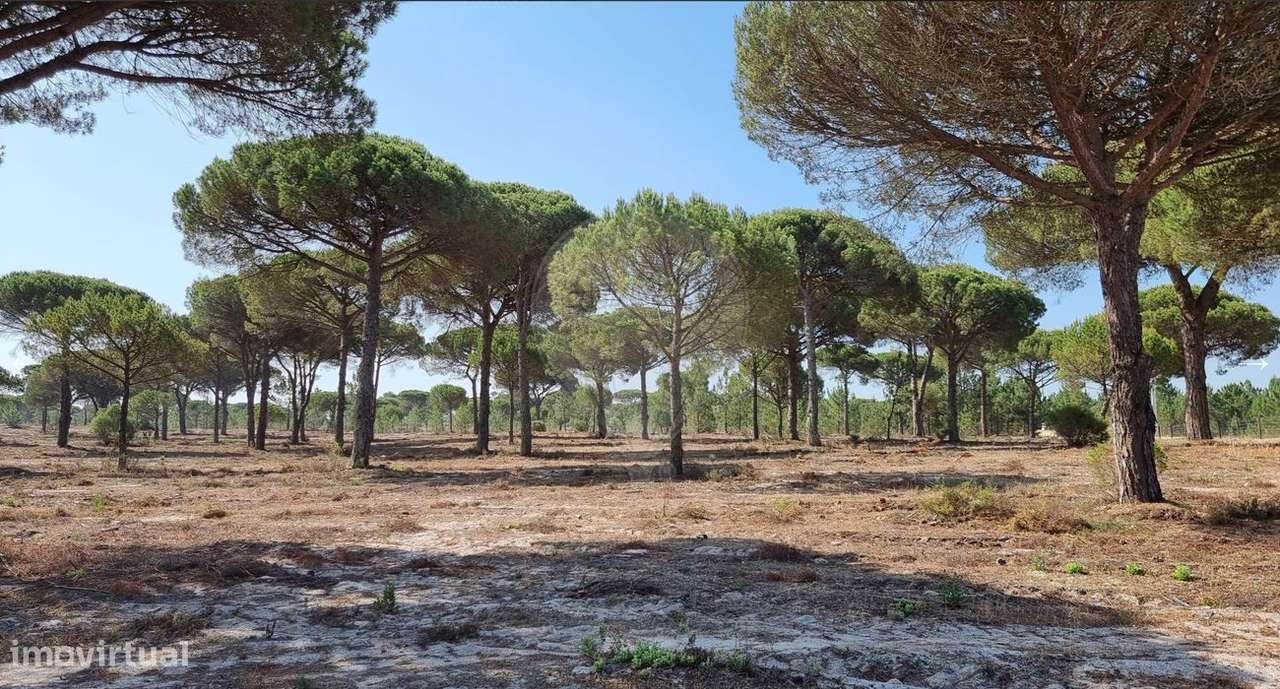 Terreno  para venda - Grande imagem: 3/3