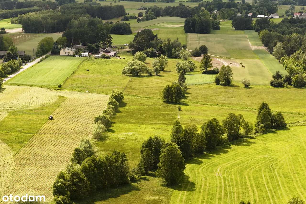 Marianowo g. Długosiodło I 3 działki I warunki zabudowy I pow. 2,06 ha-9