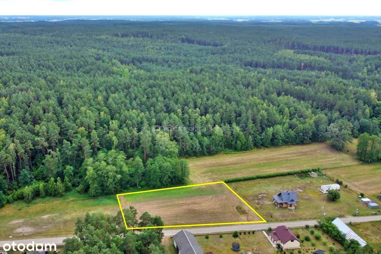 Głębocz Wielki: działka budowlana przy lesie - Pełny obrazek: 4/4