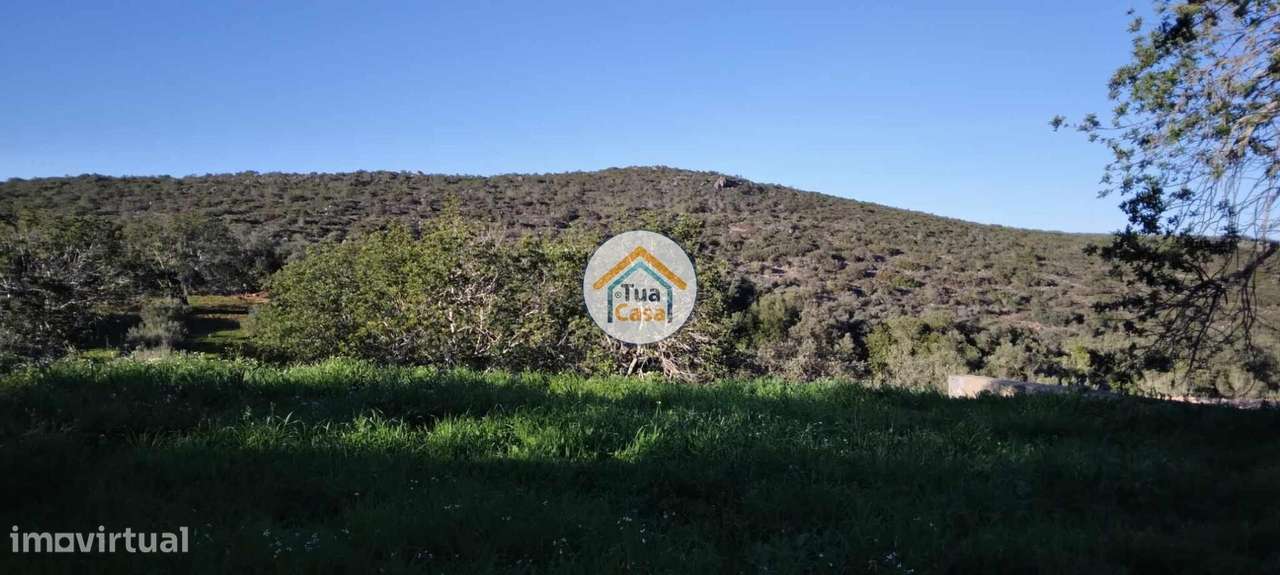 Terreno Rústico - Grande imagem: 2/16