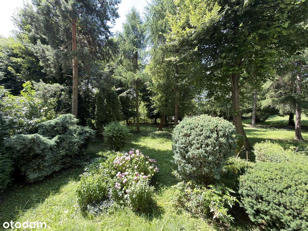 Mieszkanie położone bezpośrednio przy Parku Śląskim!!!!-11