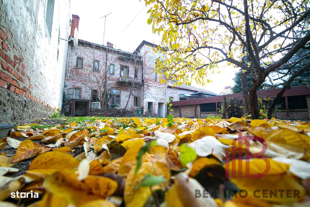 Casă cu potențial multiplu , zona stadion Gloria, Malul Mureșului ! - Imagine principală: 5/15