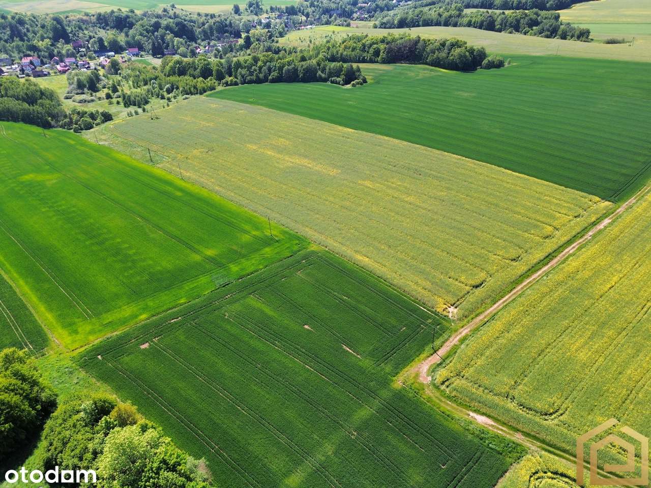 Duża działka rolna | Świetna lokalizacja - Pełny obrazek: 5/8