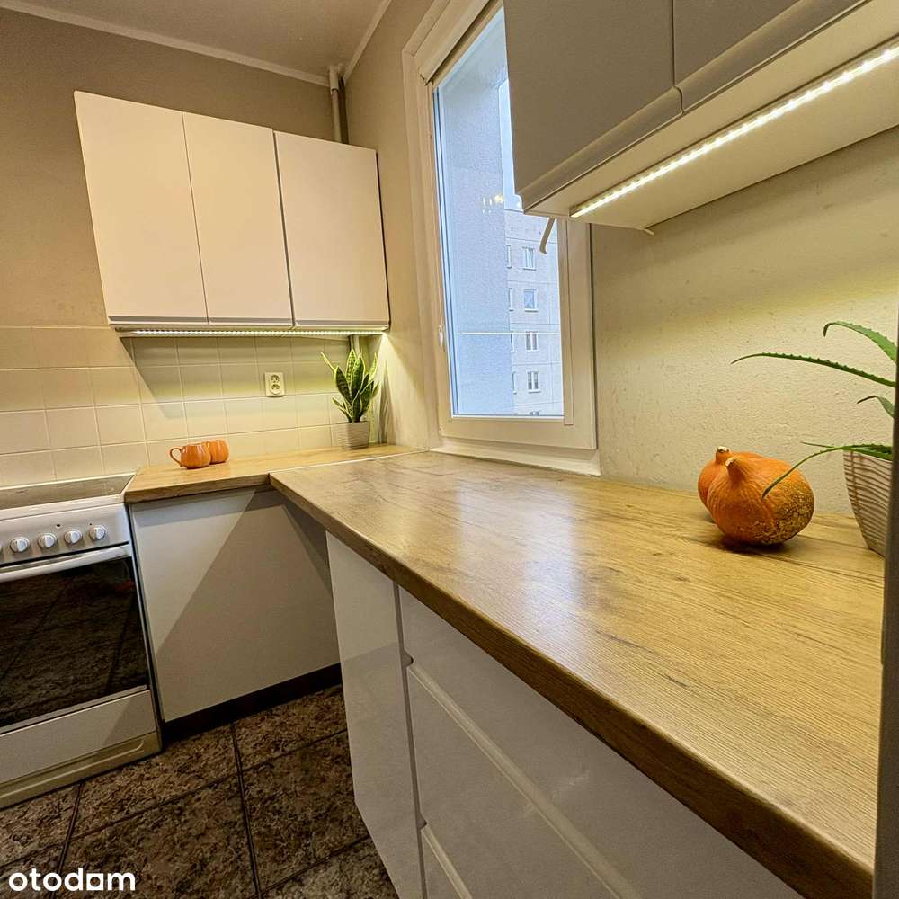 REZERWACJA Przestronne mieszkanie 3 pok. +jadalnia z kuchnią, 1 piętro - Pełny obrazek: 2/12