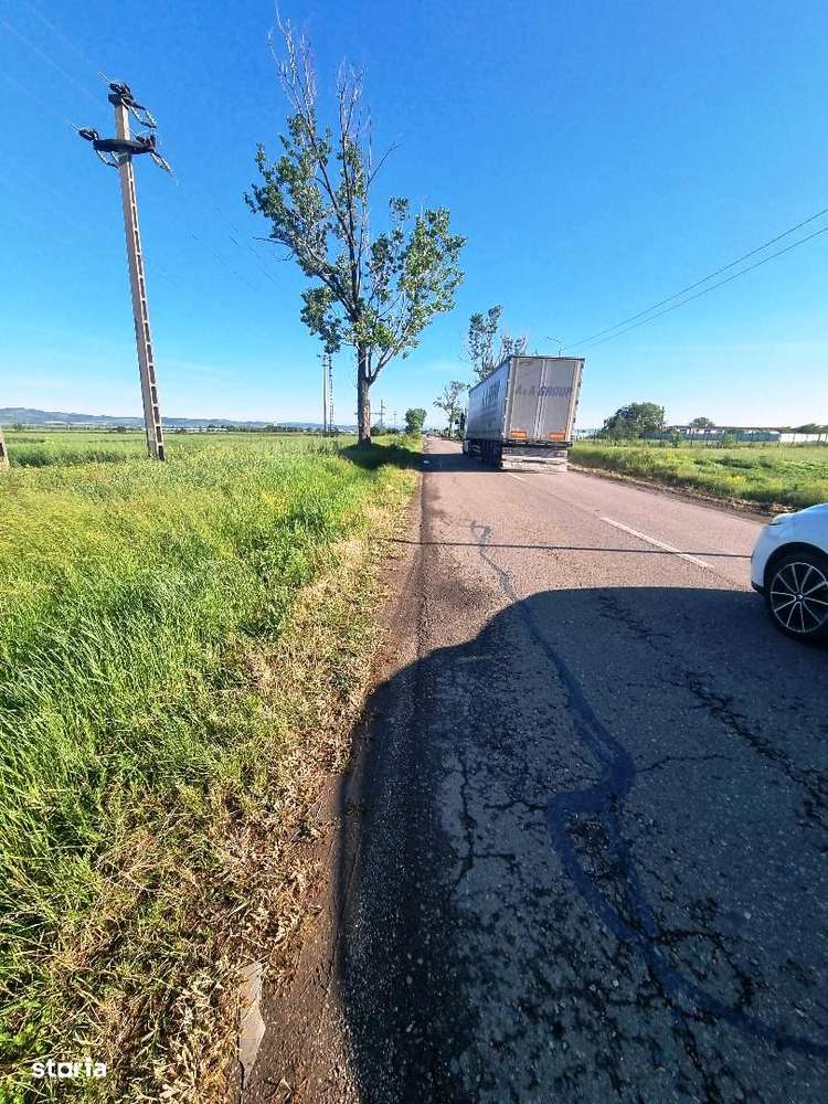 Teren intravilan Lipia-Merei 5000mp ! - Imagine principală: 3/5