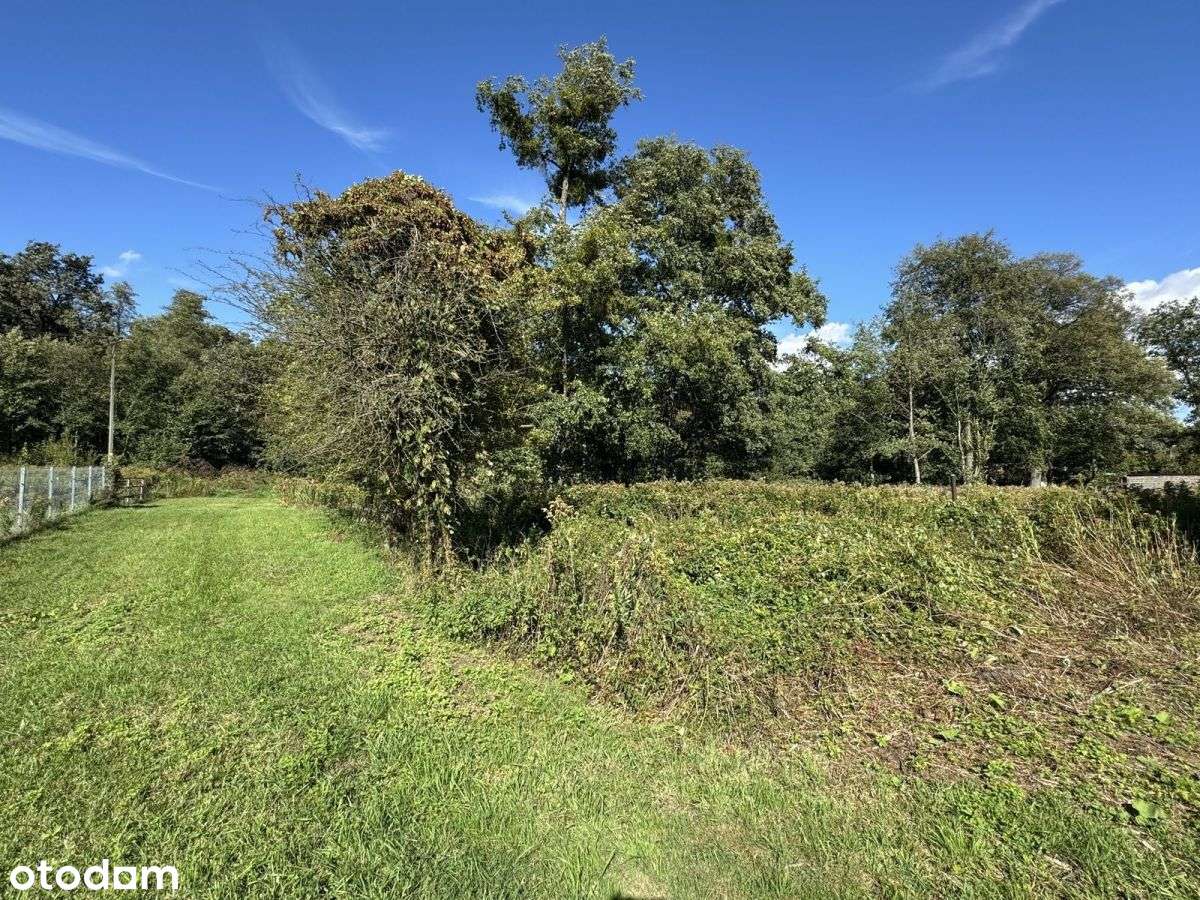 działka 8500m2 Długołęka-8