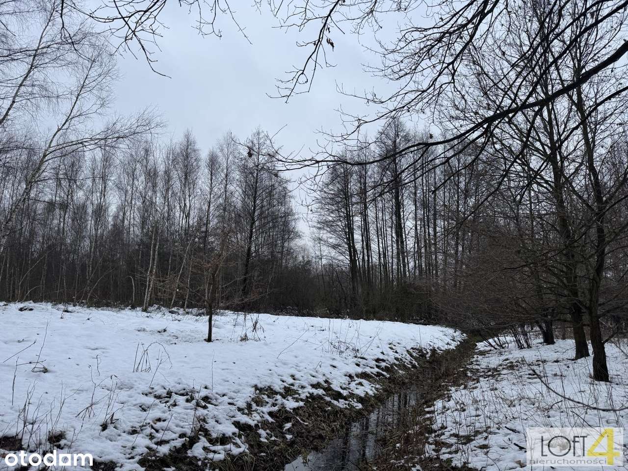 Duża działka z WZ -  otulona lasem-12