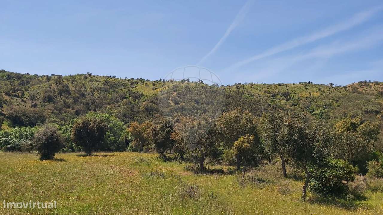 Terreno  para venda - Grande imagem: 5/7