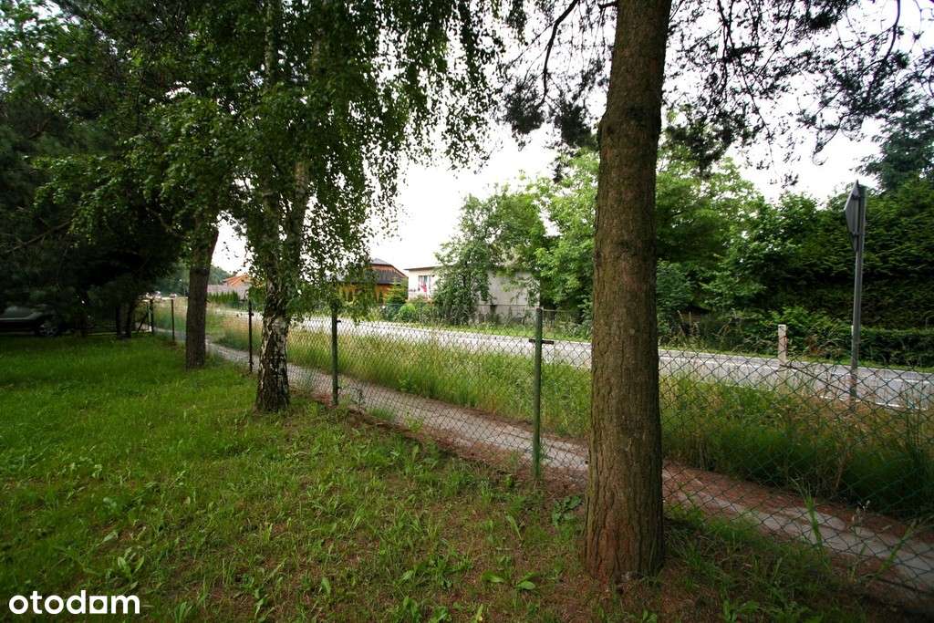 Dom do remontu na dużej działce - Pełny obrazek: 5/14