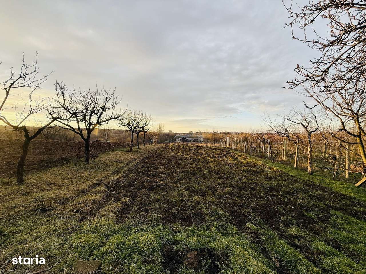 DE VÂNZARE - Casă țărănească - Paleu -IMOBIHOR-5