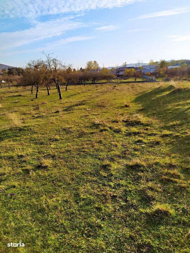 Proprietar Teren intravilan DE VÂNZARE Campina-PH (negociabil) - Imagine principală: 3/14