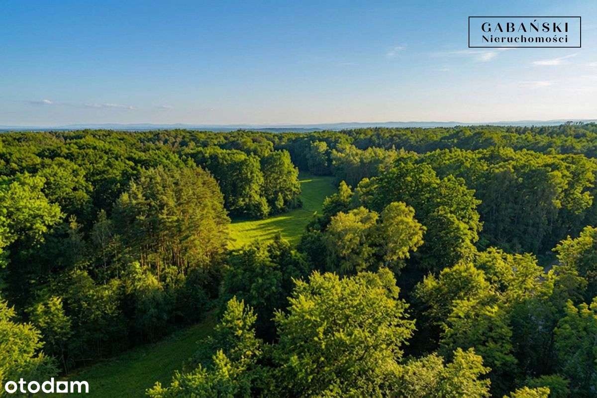 Działka budowlana na sprzedaż - Zaczarnie-6