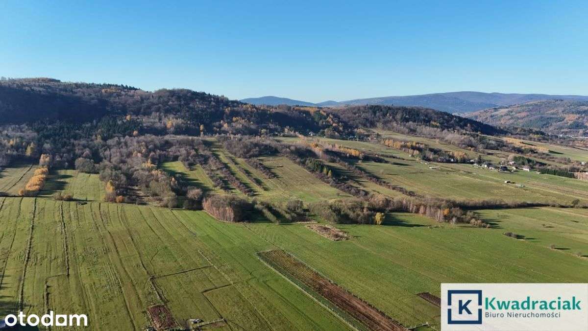 Dużą działka 0,93 ha z mediami - Nowy Żmigrodzie-6