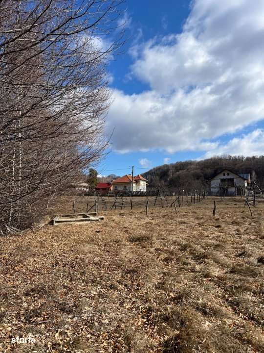 Teren Cicanesti Arges, la 10 KM de Transfagarasan - Comision 0% - Imagine principală: 2/4