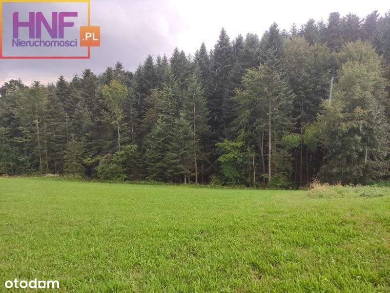 działka w Moszczenicy Wyżnej o powierzchni 45ar - Pełny obrazek: 4/14