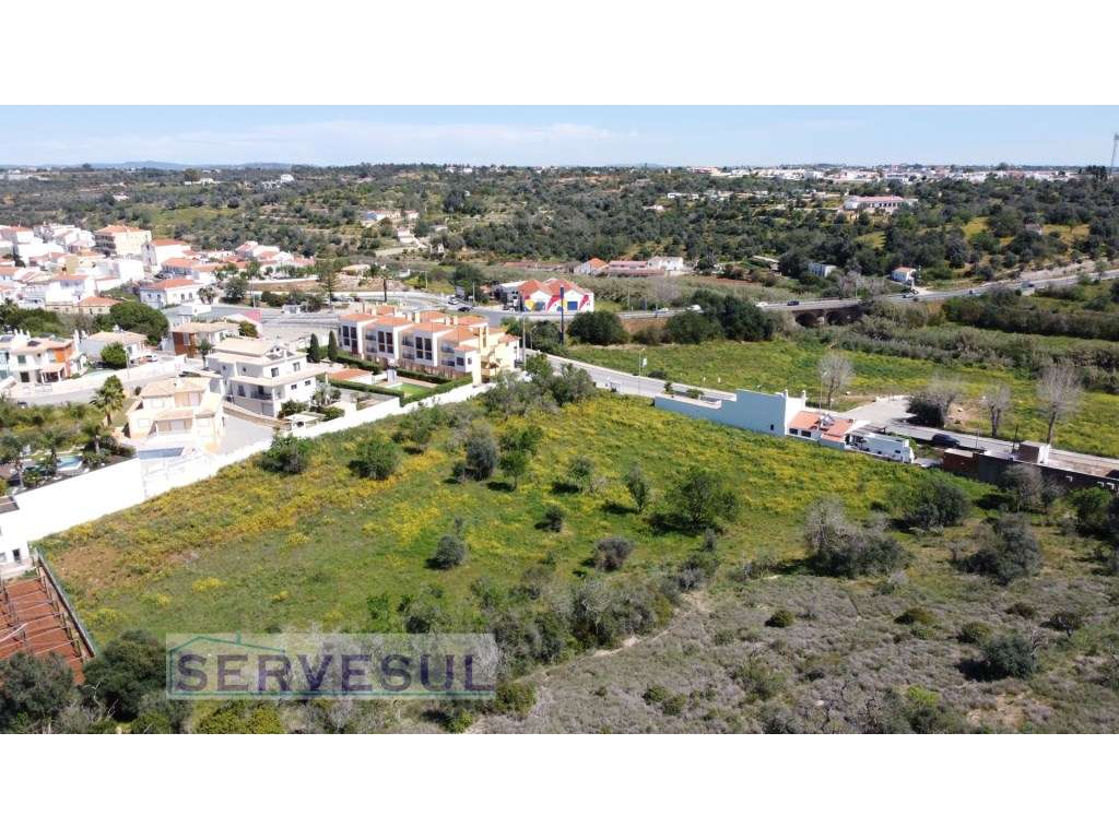 Lote de terreno rústico com area total de 21960m2, localizado em Al... - Grande imagem: 3/11