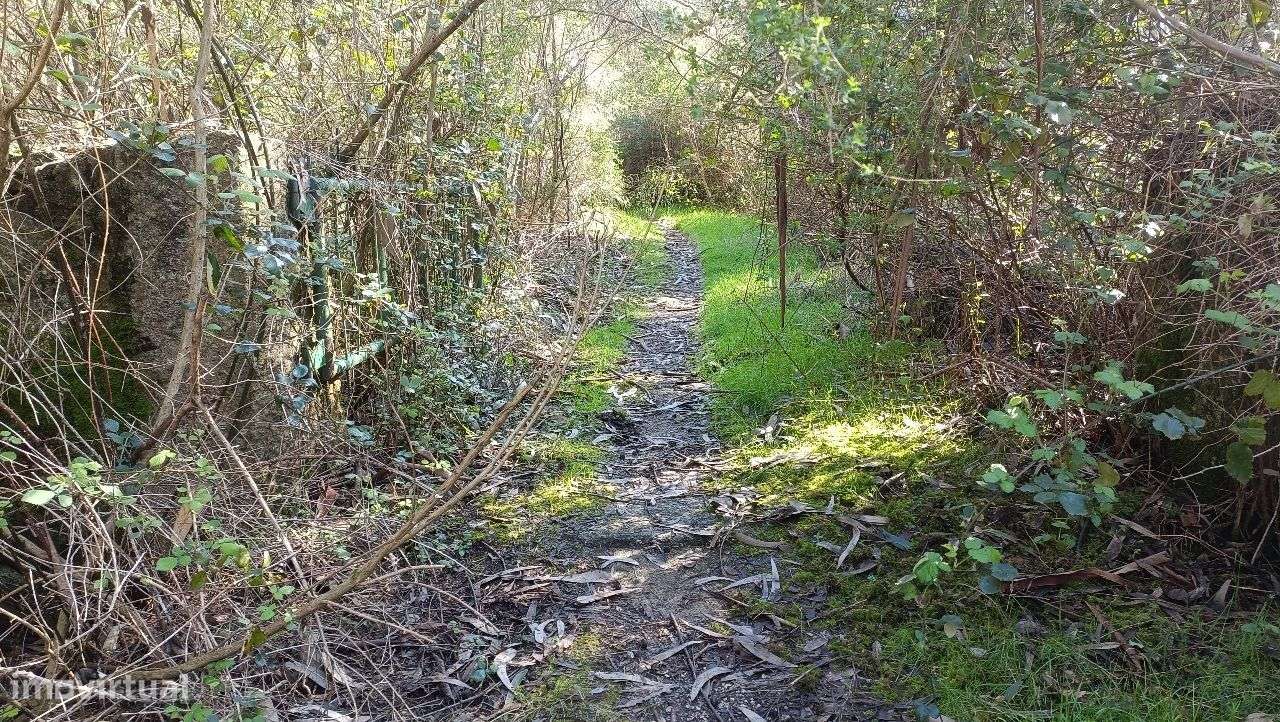 Propriedade Rústica em Santo Tirso-0