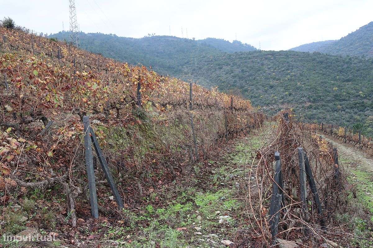 Terreno  para venda - Grande imagem: 4/11