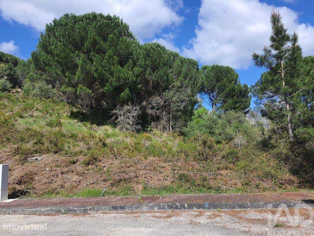 Terreno em Nossa Senhora da Piedade de 420,00 m2 - Grande imagem: 4/30