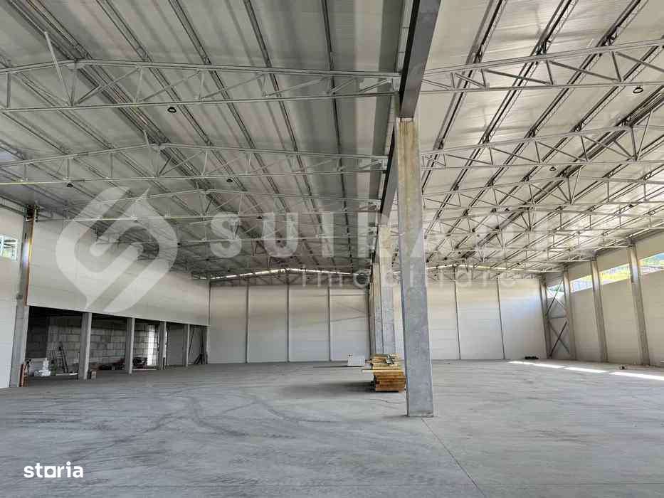 Hală de închiriat în Baciu –1373 mp hală + 150 mp birouri, 4 rampe TIR - Imagine principală: 3/3