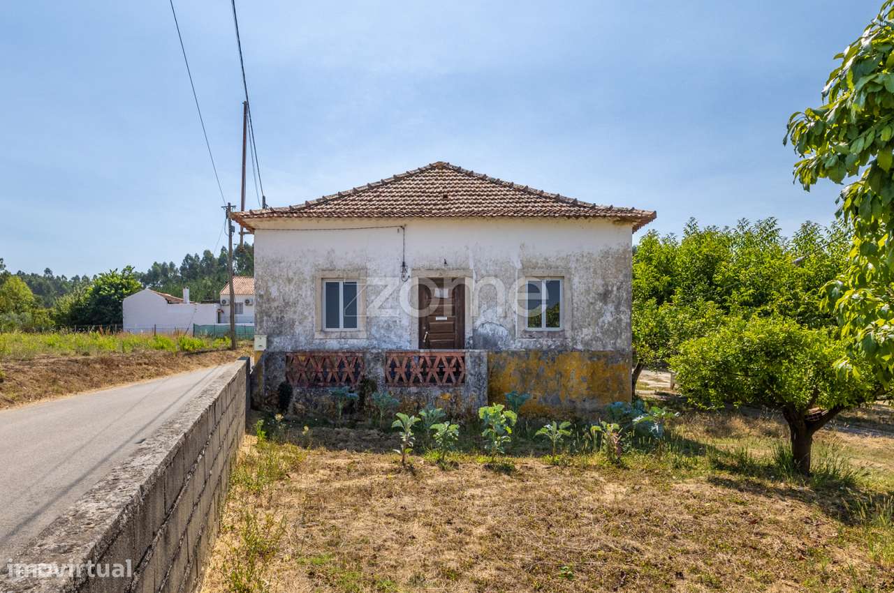 Quintinha no Juncal a 20 minutos das praias - Grande imagem: 1/60