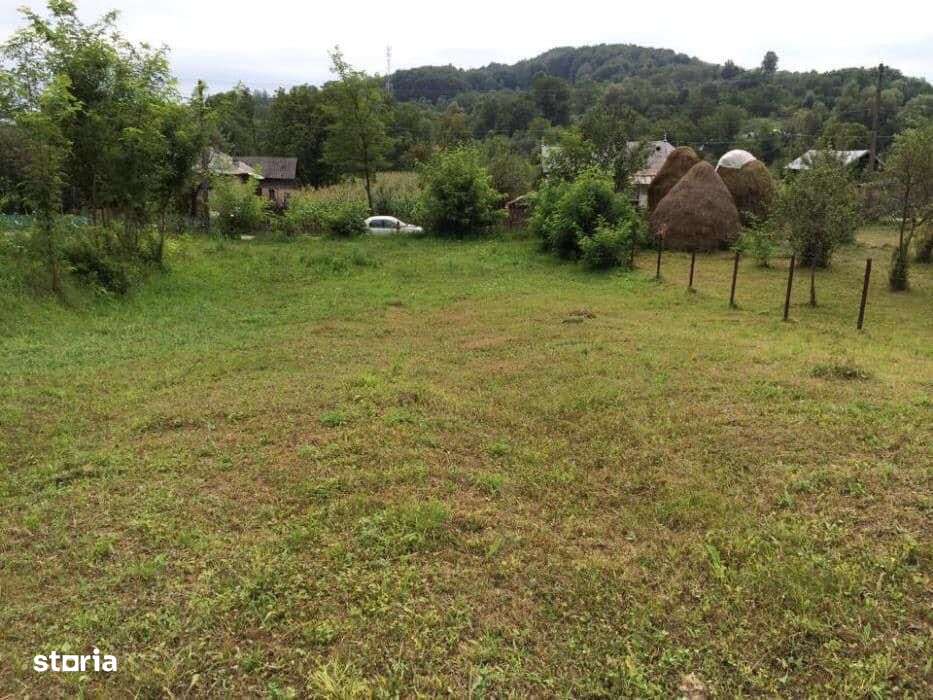 Teren intravilan de vanzare Valea Lunga jud Dambovita-1