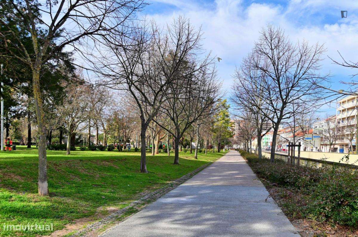 Apartamento com 1 quartos - localizado em Campo Grande Lisbon - Grande imagem: 4/10